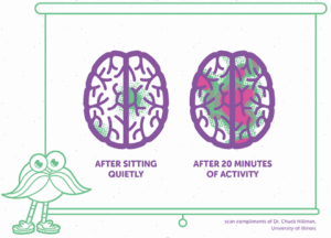 Exercise grows a better brain.